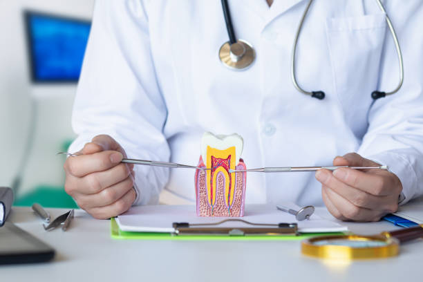 Best Urgent Dental Care for Toothache in Markle, IN
